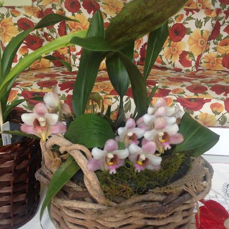 Pousada Beija Flor Gramado Esterno foto