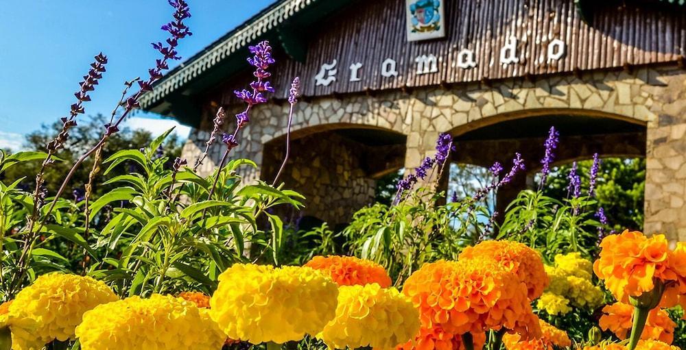 Pousada Beija Flor Gramado Esterno foto